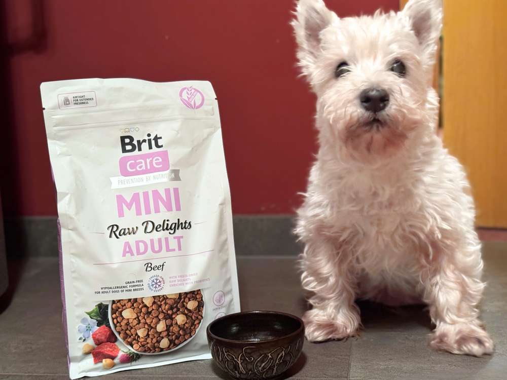 Brit Care Mini Raw Delights Beef getestet: Hochwertiges Trockenfutter für kleine Hunde?