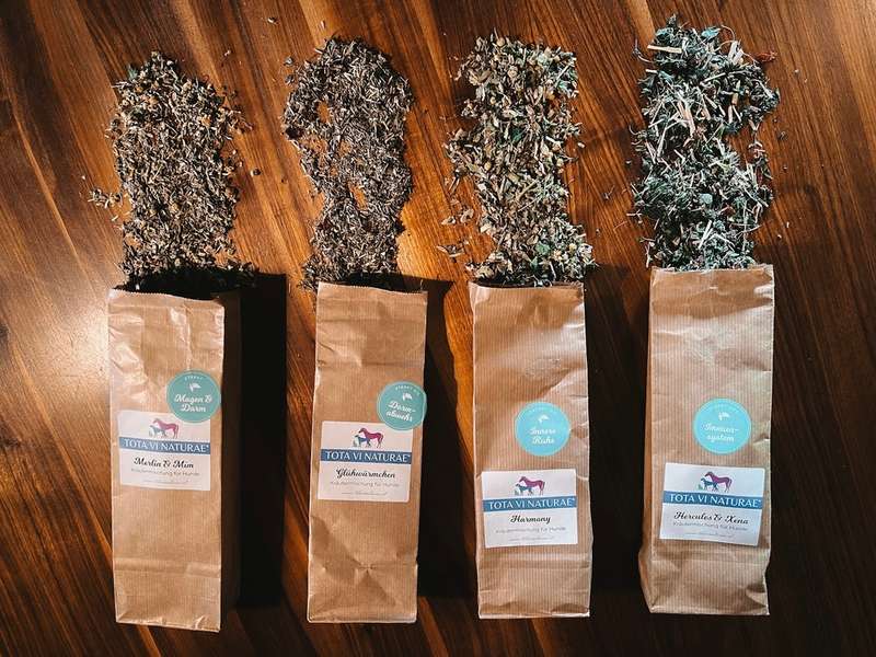 Die 4 Kräutermischungen und deren Inhalt