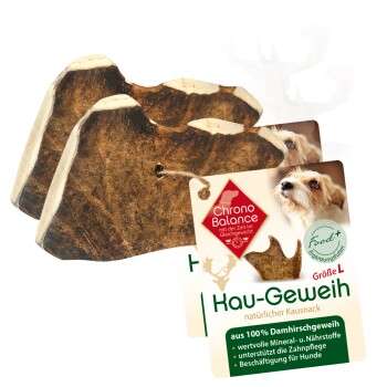 Produkt Test Titelbild