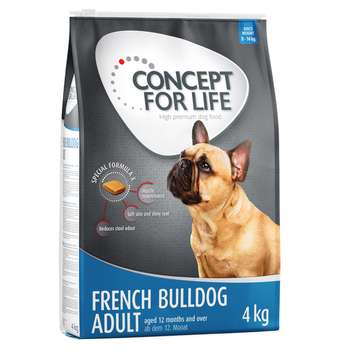 tests-Concept for Life Französische Bulldogge-Bild