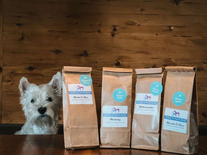 Romeo mit den vier Kräutermischungen der Startbox