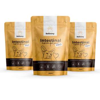 Produkt Test Titelbild