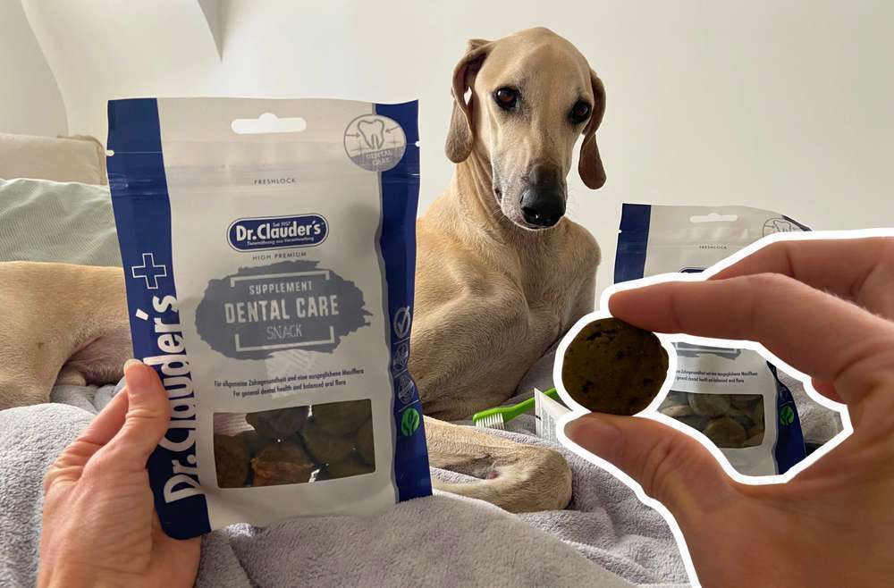 Zahngesundheit im Snackformat: Dr.Clauder‘s Supplement Snack Dental Care im Test | mit Tierarztmeinung und Community Test