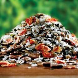 Produkt Test Titelbild