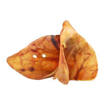 Produkt Test Titelbild