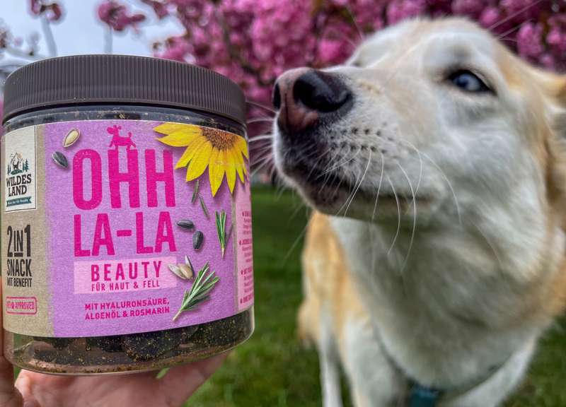 Kaya schnuppert an Dose BEAUTY