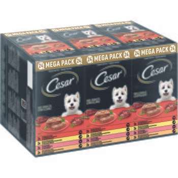 tests-Cesar Multipack Klassik-Terrine-Bild