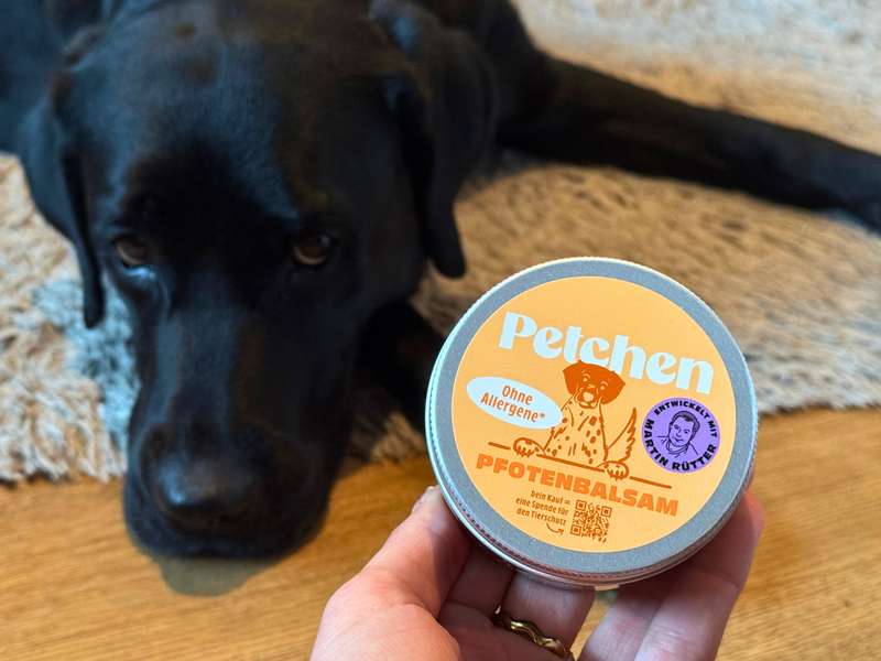 Petchen Pfotenbalsam Erfahrungen, Pfotenbalsam im Test Dogorama