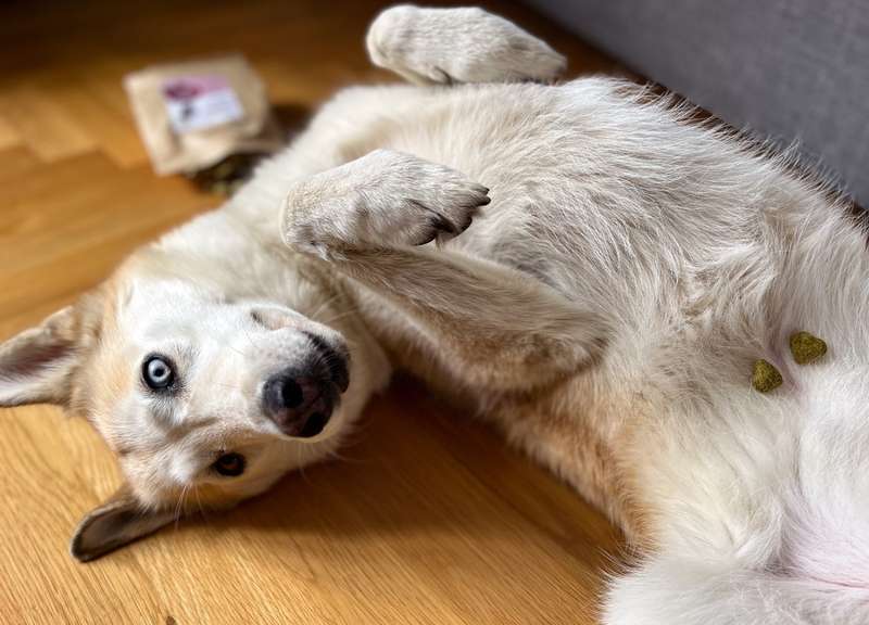 Kaya liegt auf dem Rücken, Herzen liegen auf dem Bauch