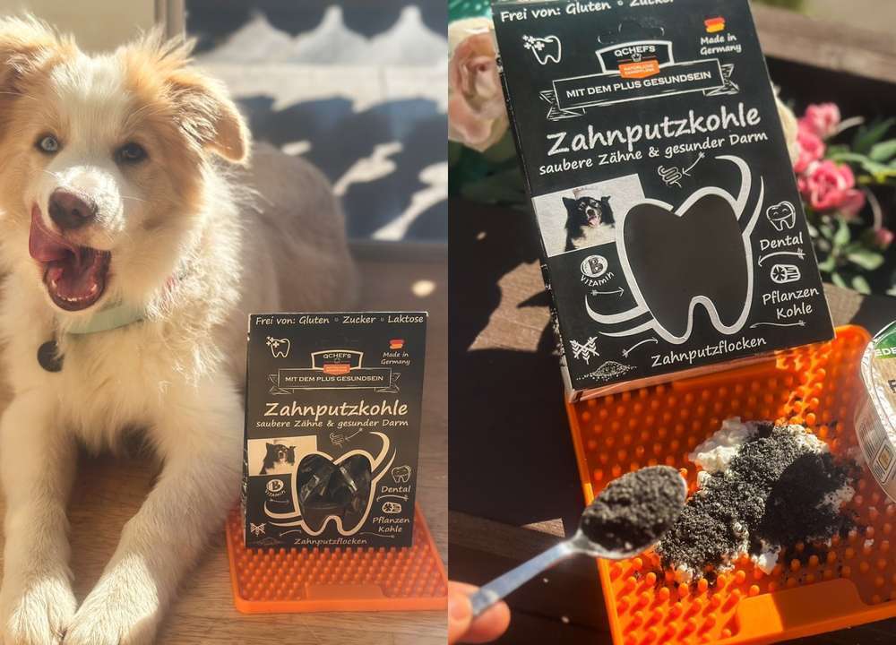 tests-QCHEFS Zahnputzkohle im Test – Natürliche Zahnpflege mit zusätzlichem Gesundheitsboost-Bild