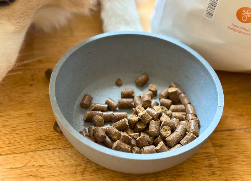 Maxi mit dem Das Gesunde Tier Welpenfutter SUNNY, Kroketten aus der Nähe