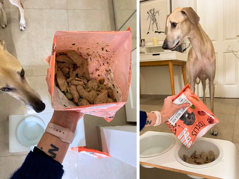 Dampfgegartes Frischfutter gefroren im Beutel wird von Hund getestet