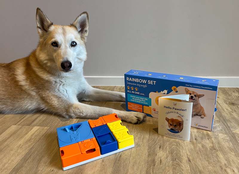 Kaya mit dem Pawzler