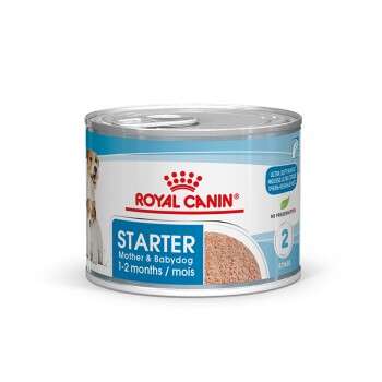 tests-Royal Canin Starter Mousse-Bild