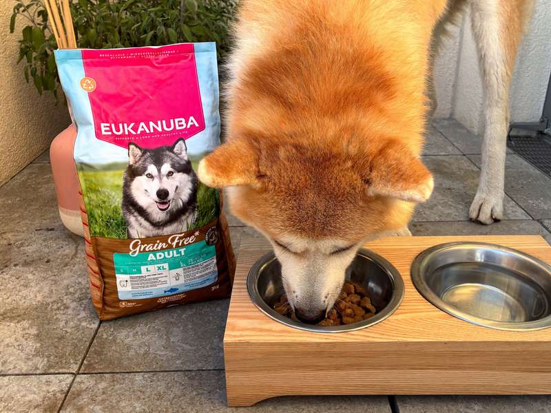 EUKANUBA Trockenfutter mit Seefisch getreidefrei im Test mit Akita Aiko