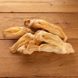 Produkt Test Titelbild