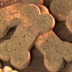 Produkt Test Titelbild