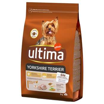 tests-Ultima Yorkshire Terrier Adult Huhn-Bild