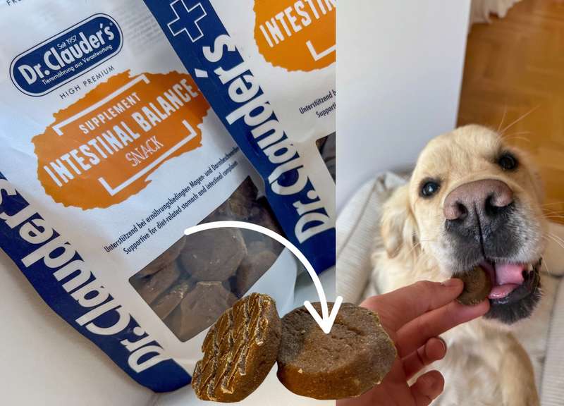 Fred mit dem Intestinal Balance Snack