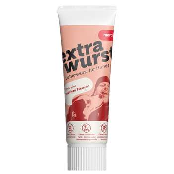 Produkt Test Titelbild