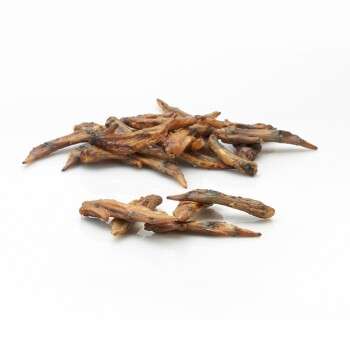 Produkt Test Titelbild