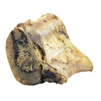 Produkt Test Titelbild