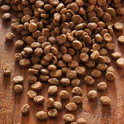 tests-alsa nature Petit-Bild