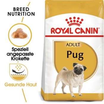 tests-Royal Canin Mops Adult-Bild