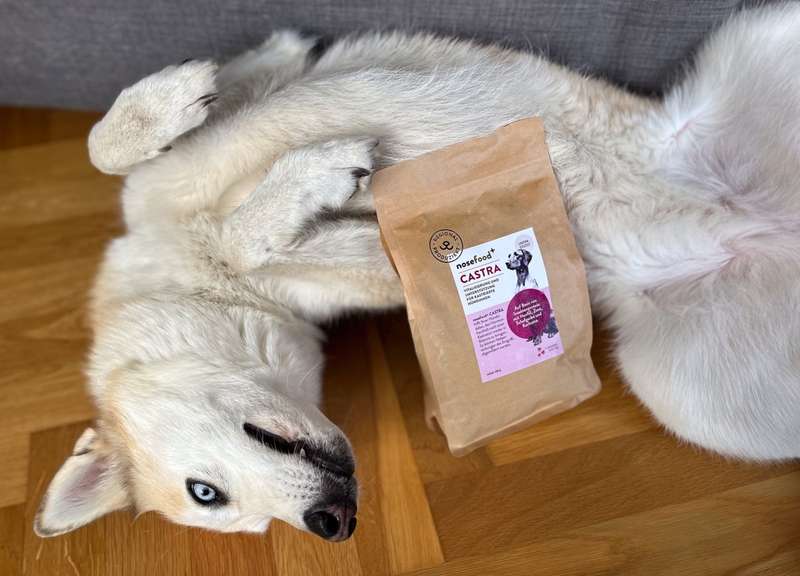 Kaya liegt auf dem Rücken, Castra Beutel auf ihrem Bauch