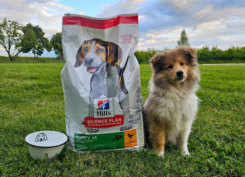 Dogorama Futtertest: Hill’s Science Plan Medium Puppy Huhn | Bewertungen & Erfahrung inkl. Tierarzt Feedback