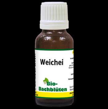 Produkt Test Titelbild