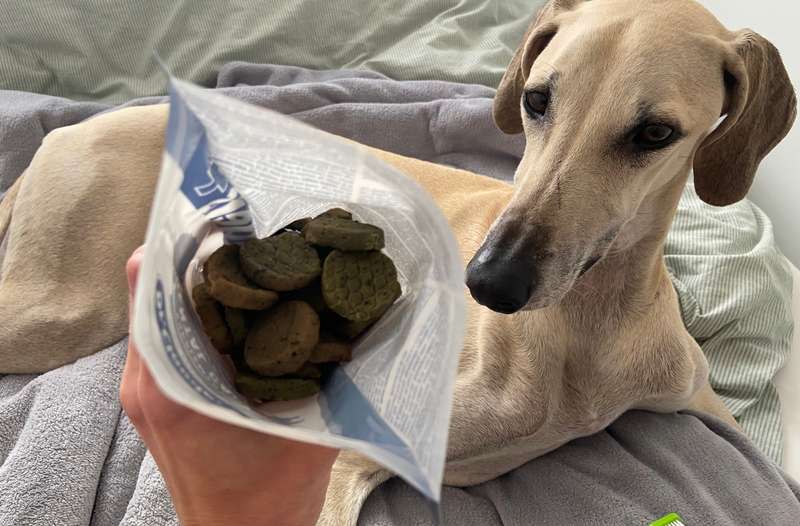 Nadir mit Dental Care Snack von Dr.Clauder&lsquo;s