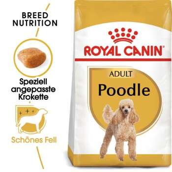 tests-Royal Canin Poodle Adult-Bild