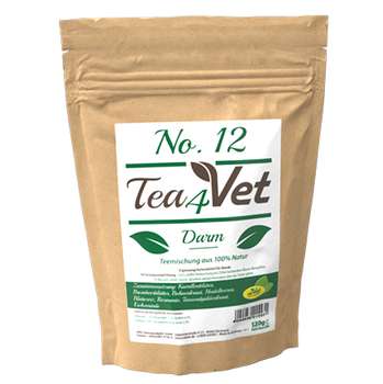 tests-cdVet Tea4Vet No.12-Darm-Bild