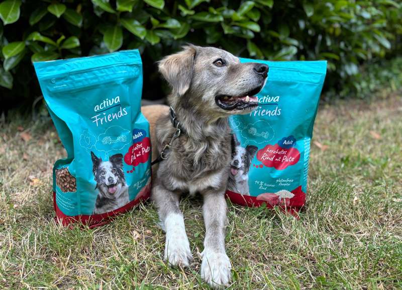 Kjell mit activaFriendsTF