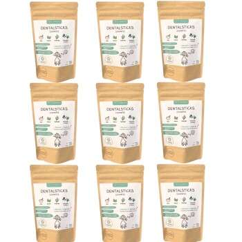 Produkt Test Titelbild