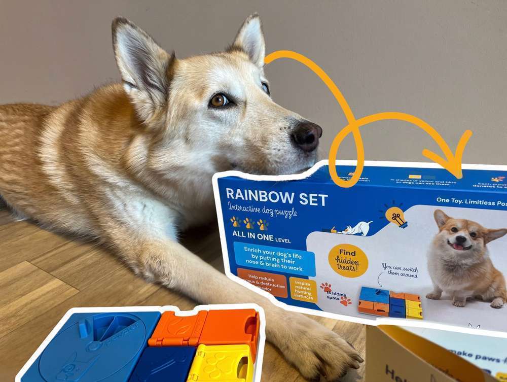 tests-Pawzler Rainbow Set im Dogorama Test: Unendlicher Denkspaß durch modulares Baukastensystem 🐶-Bild