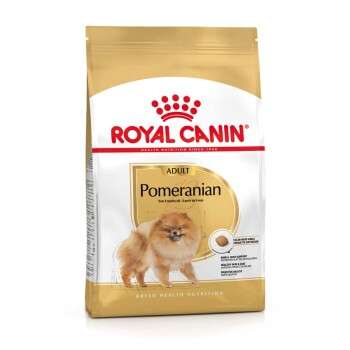 tests-Royal Canin BHN Pomeranian-Bild