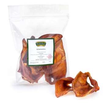 Produkt Test Titelbild