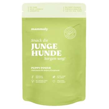 Produkt Test Titelbild