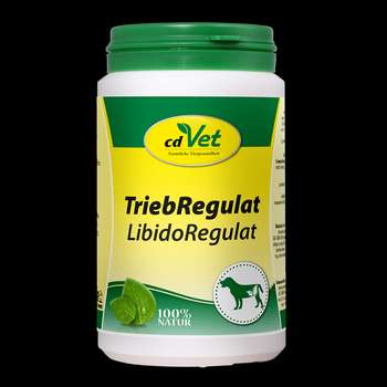 Produkt Test Titelbild