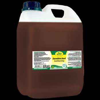 Produkt Test Titelbild