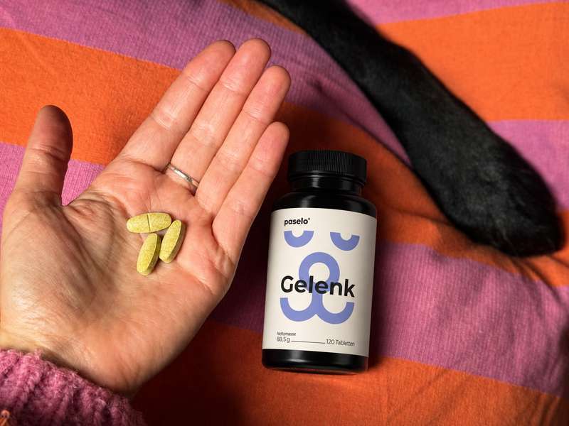 Sali mit den paselo Gelenktabletten, Nahaufnahme Tablette, Pf&ouml;tchen im Hintergrund