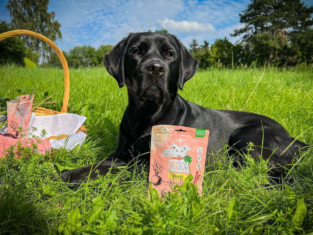 tests-Vegane Snacks für den Hund - Wie gut sind die VEGDOG Beevys-Bild