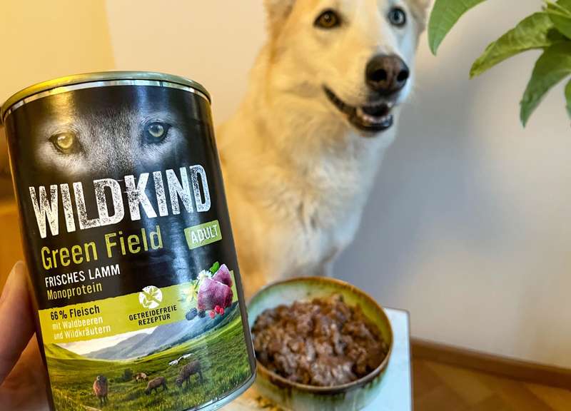 Kaya mit dem WILDKIND Nassfutter
