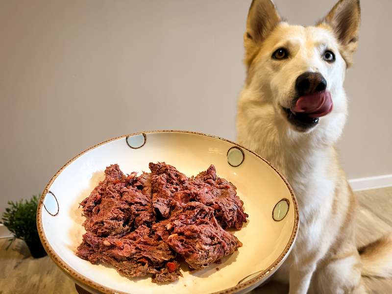 Kaya mit der Schüssel FrischBarf