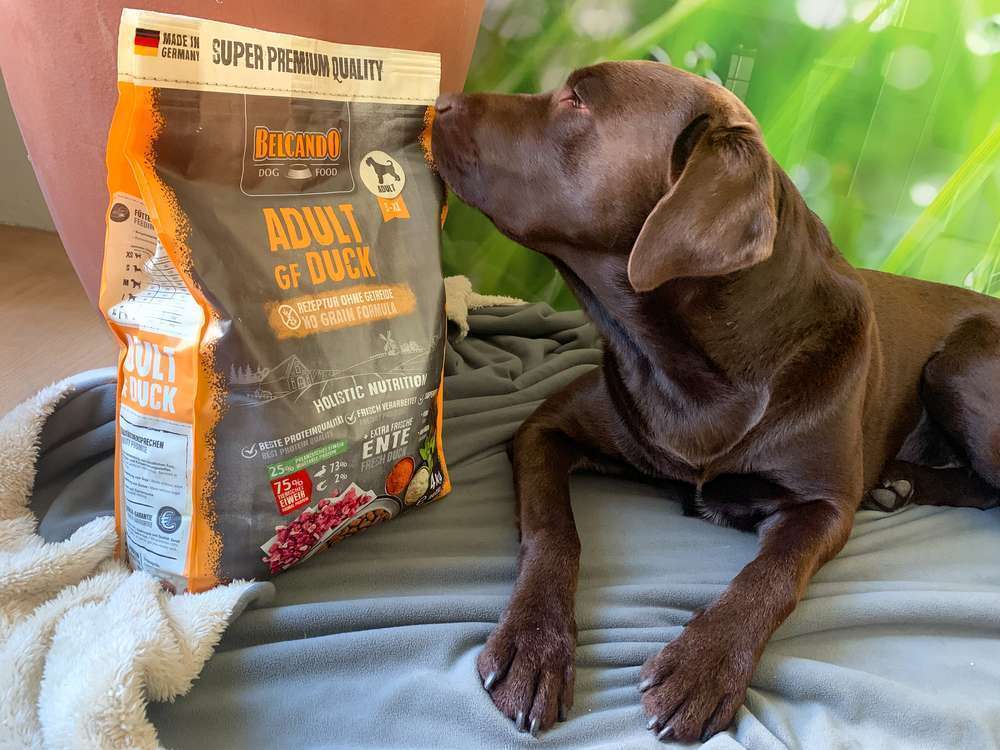 tests-Wie gut ist das Trockenfutter von BELCANDO wirklich - ADULT GF DUCK im Test | inkl. Tierarztmeinung-Bild