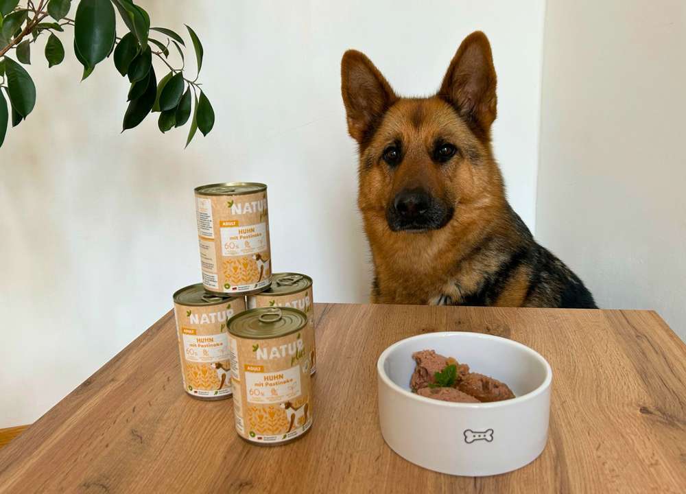 Hundefutter Test: NATURplus Adult Huhn mit Pastinake - echte Bewertungen & Tierarzt Einschätzung 