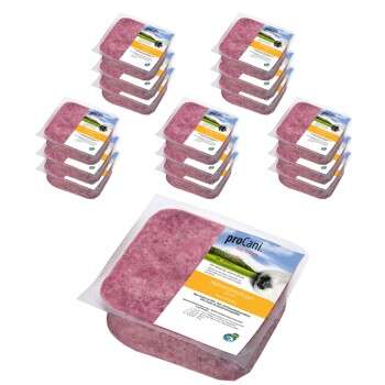 Produkt Test Titelbild