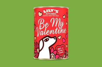 tests-LILY'S KITCHEN Valentine's Tin for Dogs-Bild